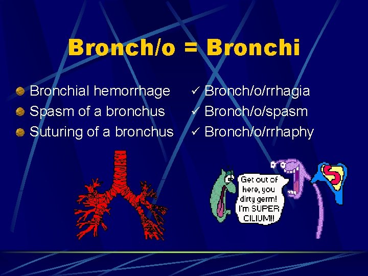 Bronch/o = Bronchial hemorrhage Spasm of a bronchus Suturing of a bronchus ü Bronch/o/rrhagia