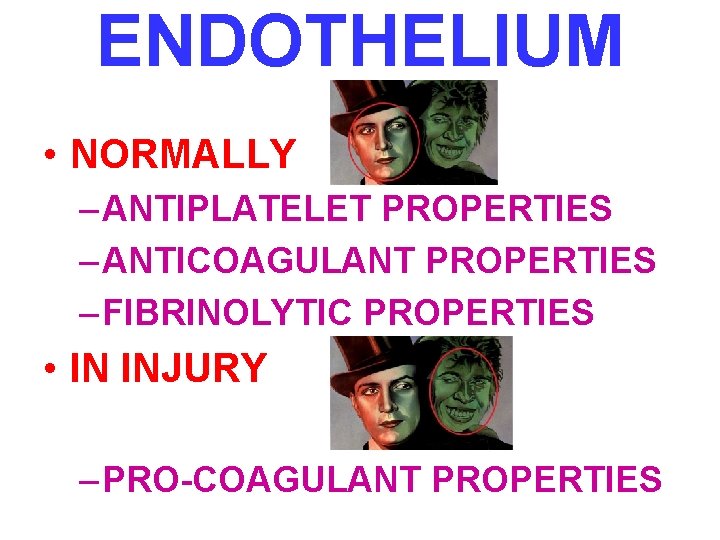 ENDOTHELIUM • NORMALLY – ANTIPLATELET PROPERTIES – ANTICOAGULANT PROPERTIES – FIBRINOLYTIC PROPERTIES • IN