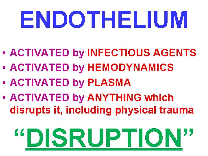 ENDOTHELIUM • • ACTIVATED by INFECTIOUS AGENTS ACTIVATED by HEMODYNAMICS ACTIVATED by PLASMA ACTIVATED