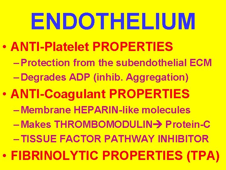 ENDOTHELIUM • ANTI-Platelet PROPERTIES – Protection from the subendothelial ECM – Degrades ADP (inhib.