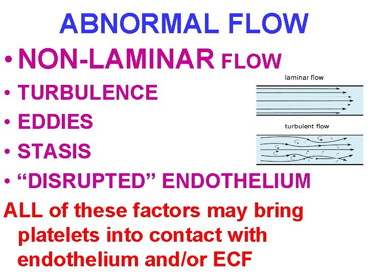 ABNORMAL FLOW • NON-LAMINAR FLOW • TURBULENCE • EDDIES • STASIS • “DISRUPTED” ENDOTHELIUM