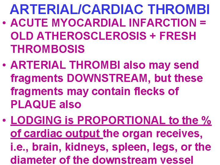 ARTERIAL/CARDIAC THROMBI • ACUTE MYOCARDIAL INFARCTION = OLD ATHEROSCLEROSIS + FRESH THROMBOSIS • ARTERIAL