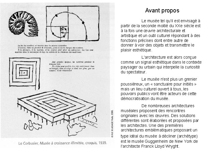 Avant propos Le musée tel qu’il est envisagé à partir de la seconde moitié