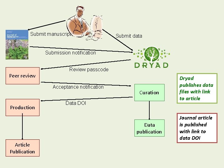 Submit manuscript Submit data Submission notification Peer review Review passcode Acceptance notification Production Curation