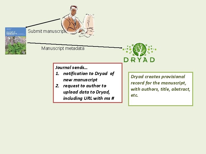 Submit manuscript Manuscript metadata Journal sends… 1. notification to Dryad of new manuscript 2.