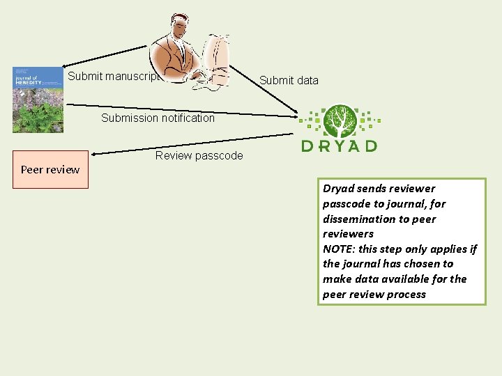  Submit manuscript Submit data Submission notification Peer review Review passcode Dryad sends reviewer