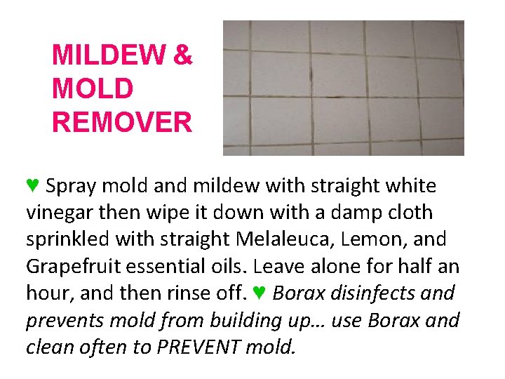 MILDEW & MOLD REMOVER ♥ Spray mold and mildew with straight white vinegar then MILDEW & MOLD REMOVER ♥ Spray mold and mildew with straight white vinegar then