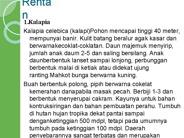 Renta n 1. Kalapia celebica (kalapi)Pohon mencapai tinggi 40 meter, mempunyai banir. Kulit batang