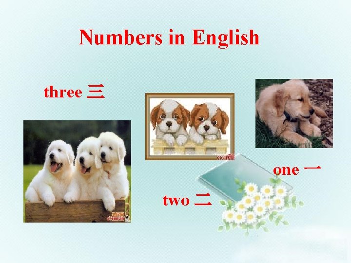 Numbers in English three 三 one 一 two 二 