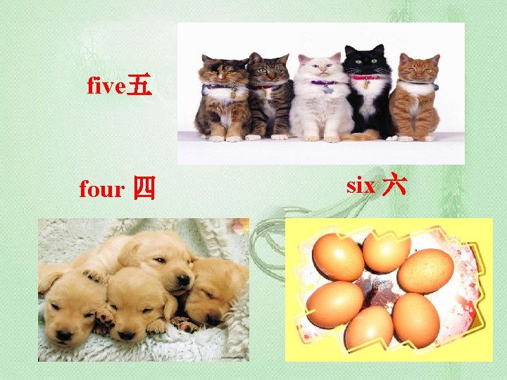 five五 four 四 six 六 