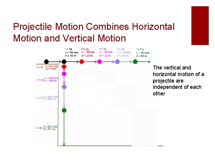 Projectile Motion Combines Horizontal Motion and Vertical Motion The vertical and horizontal motion of