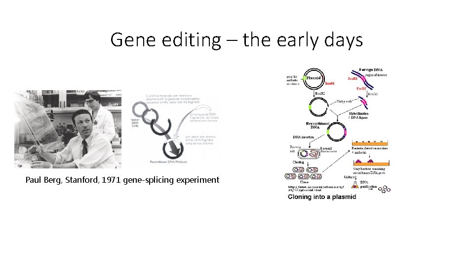 Gene editing – the early days Paul Berg, Stanford, 1971 gene-splicing experiment 