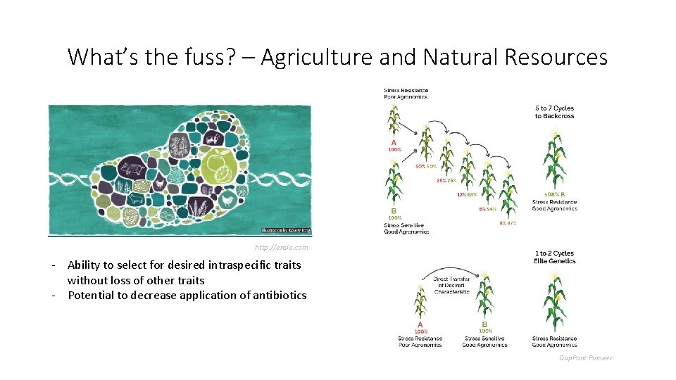 What’s the fuss? – Agriculture and Natural Resources http: //ensia. com - Ability to