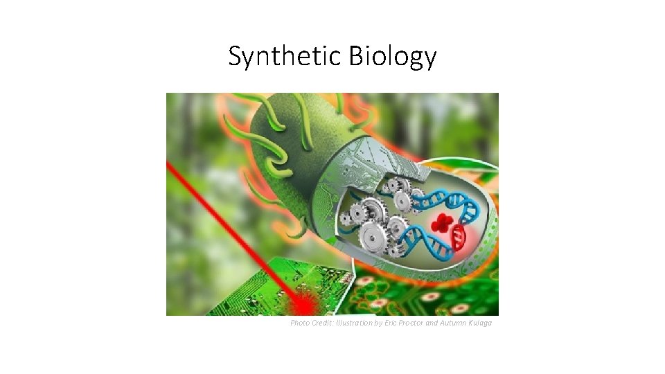 Synthetic Biology Photo Credit: Illustration by Eric Proctor and Autumn Kulaga 