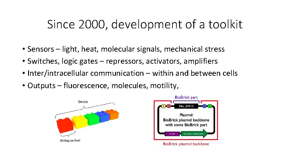 Since 2000, development of a toolkit • Sensors – light, heat, molecular signals, mechanical