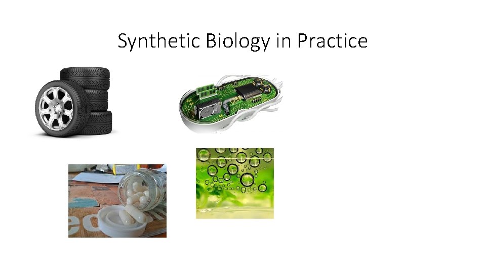 Synthetic Biology in Practice 