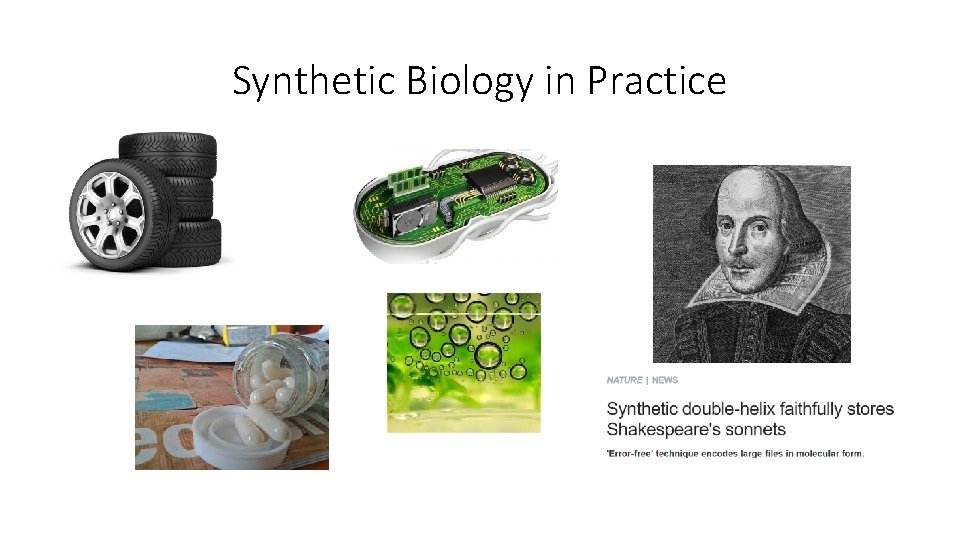 Synthetic Biology in Practice 