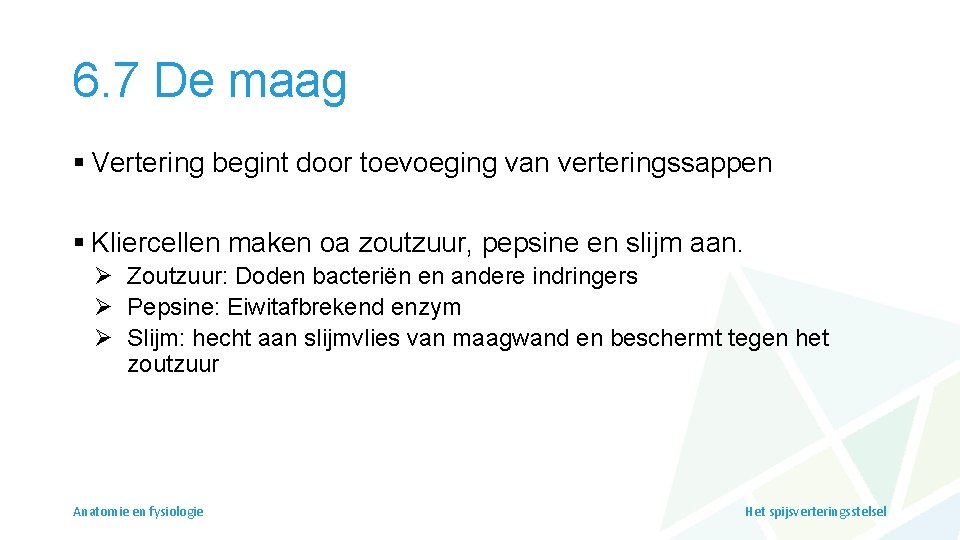 6. 7 De maag § Vertering begint door toevoeging van verteringssappen § Kliercellen maken