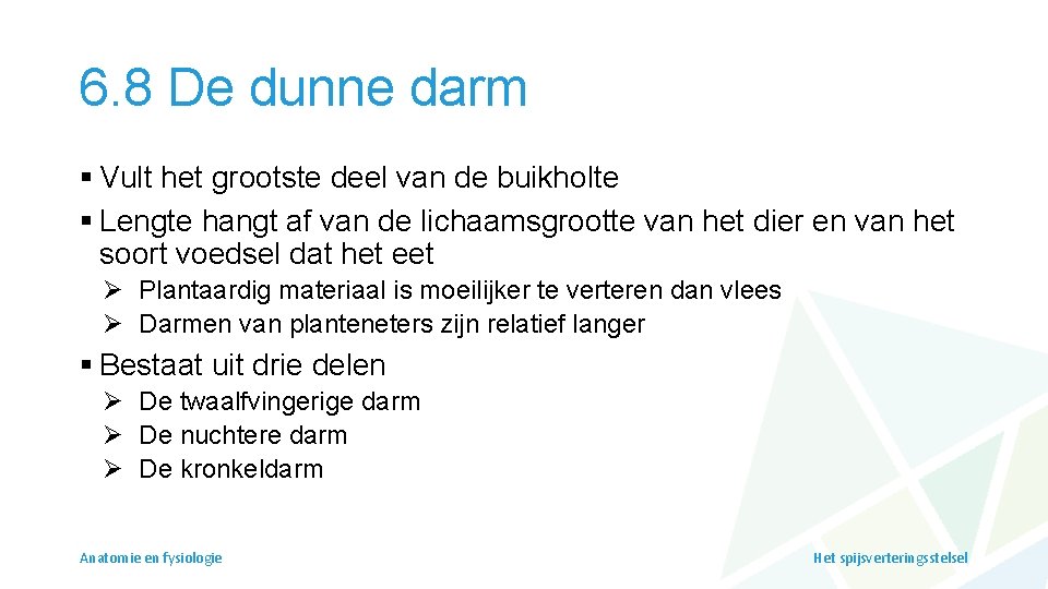 6. 8 De dunne darm § Vult het grootste deel van de buikholte §