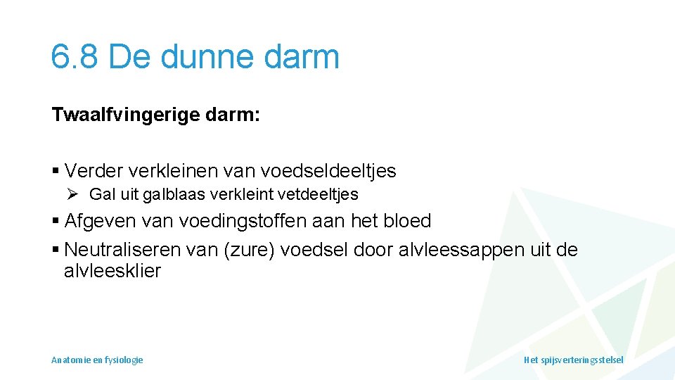 6. 8 De dunne darm Twaalfvingerige darm: § Verder verkleinen van voedseldeeltjes Ø Gal