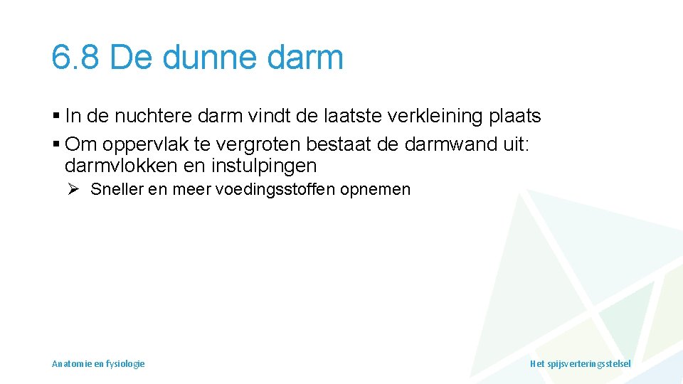 6. 8 De dunne darm § In de nuchtere darm vindt de laatste verkleining