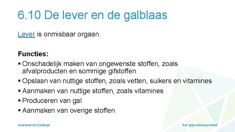 6. 10 De lever en de galblaas Lever is onmisbaar orgaan. Functies: § Onschadelijk