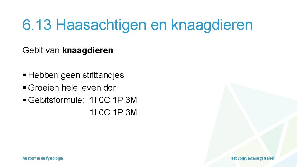 6. 13 Haasachtigen en knaagdieren Gebit van knaagdieren § Hebben geen stifttandjes § Groeien