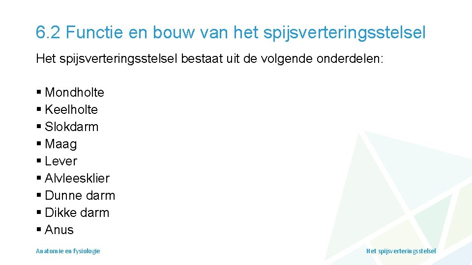 6. 2 Functie en bouw van het spijsverteringsstelsel Het spijsverteringsstelsel bestaat uit de volgende