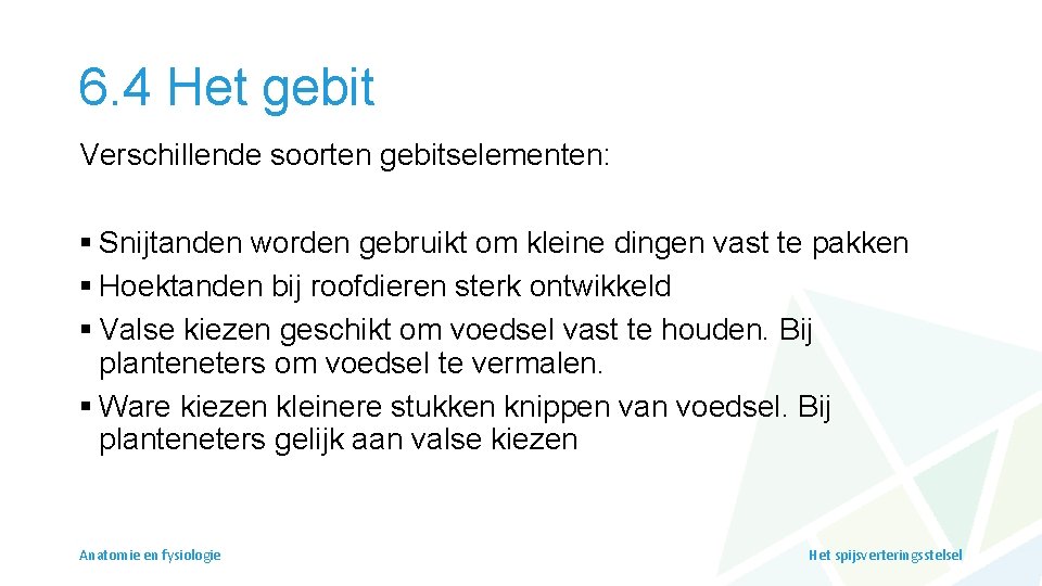 6. 4 Het gebit Verschillende soorten gebitselementen: § Snijtanden worden gebruikt om kleine dingen