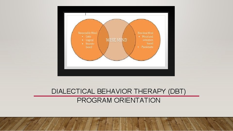 DIALECTICAL BEHAVIOR THERAPY (DBT) PROGRAM ORIENTATION 