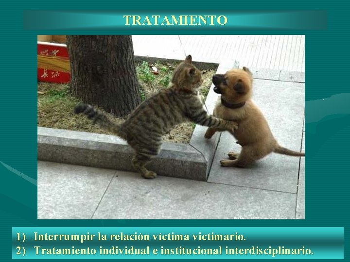 TRATAMIENTO 1) Interrumpir la relación víctima victimario. 2) Tratamiento individual e institucional interdisciplinario. 