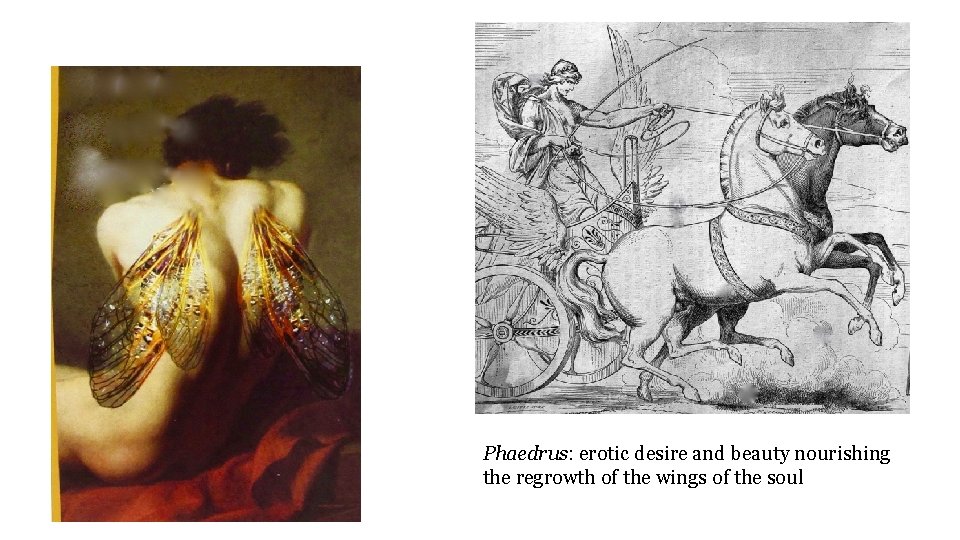 Phaedrus: erotic desire and beauty nourishing the regrowth of the wings of the soul