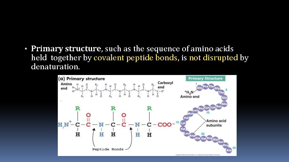  • Primary structure, such as the sequence of amino acids held together by