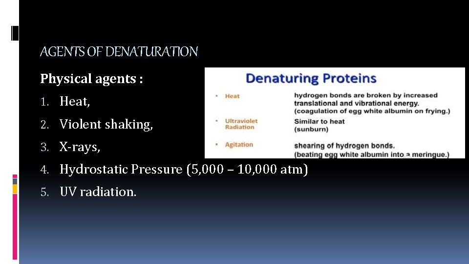 AGENTS OF DENATURATION Physical agents : 1. Heat, 2. Violent shaking, 3. X-rays, 4.