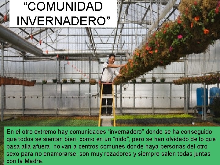 “COMUNIDAD INVERNADERO” En el otro extremo hay comunidades “invernadero” donde se ha conseguido que