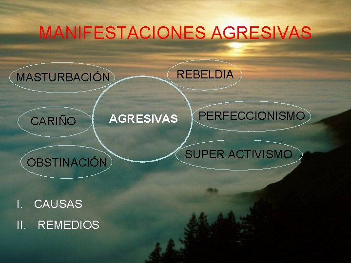 MANIFESTACIONES AGRESIVAS MASTURBACIÓN CARIÑO OBSTINACIÓN I. CAUSAS II. REMEDIOS REBELDIA AGRESIVAS PERFECCIONISMO SUPER ACTIVISMO