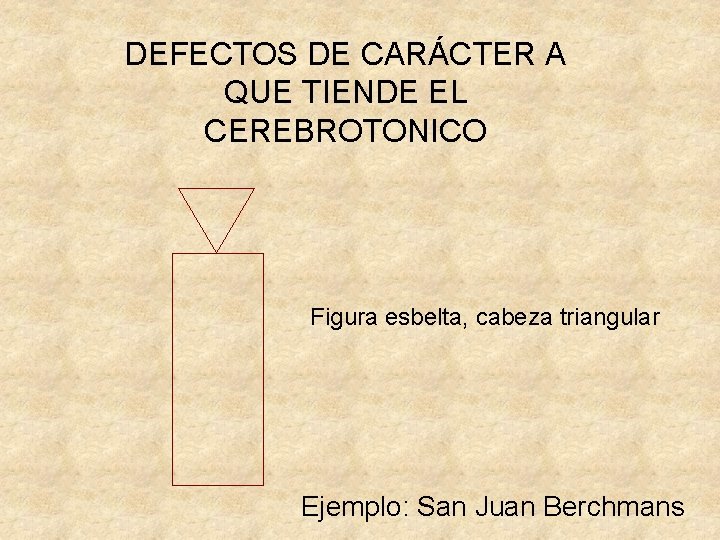 DEFECTOS DE CARÁCTER A QUE TIENDE EL CEREBROTONICO Figura esbelta, cabeza triangular Ejemplo: San