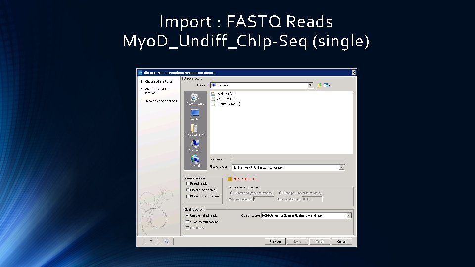 Import : FASTQ Reads Myo. D_Undiff_Ch. Ip-Seq (single) 