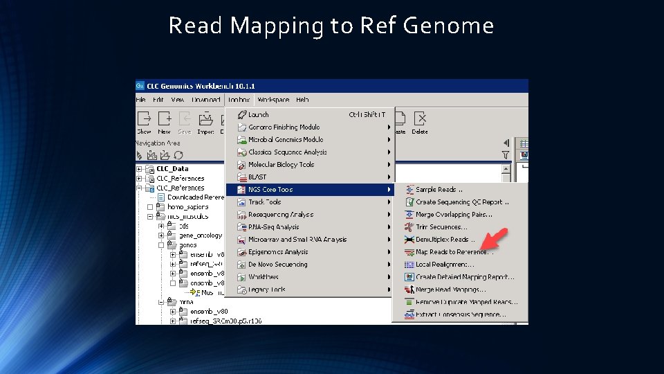 Read Mapping to Ref Genome 
