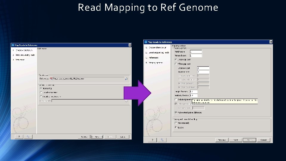 Read Mapping to Ref Genome 