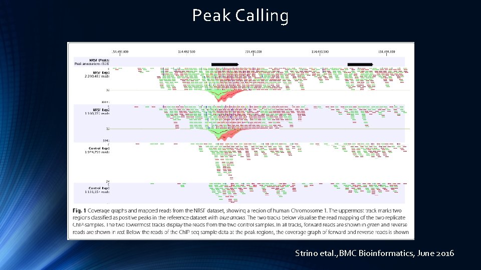 Peak Calling Strino etal. , BMC Bioinformatics, June 2016 