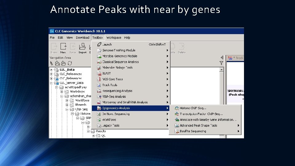 Annotate Peaks with near by genes 