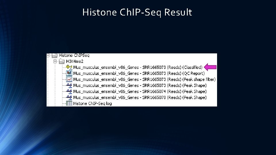Histone Ch. IP-Seq Result 
