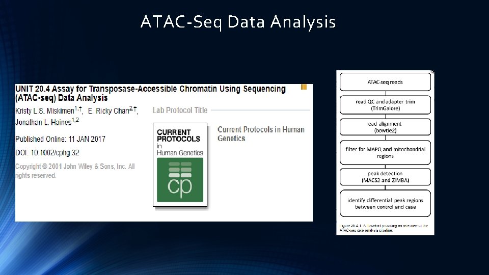 ATAC-Seq Data Analysis 
