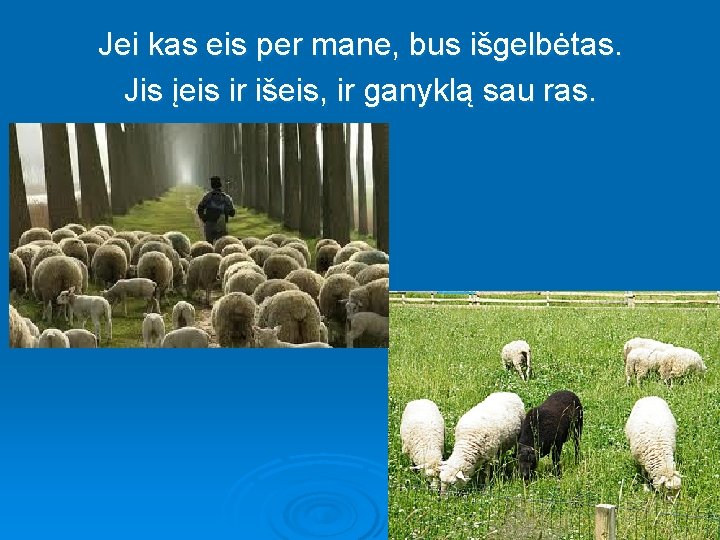 Jei kas eis per mane, bus išgelbėtas. Jis įeis ir išeis, ir ganyklą sau