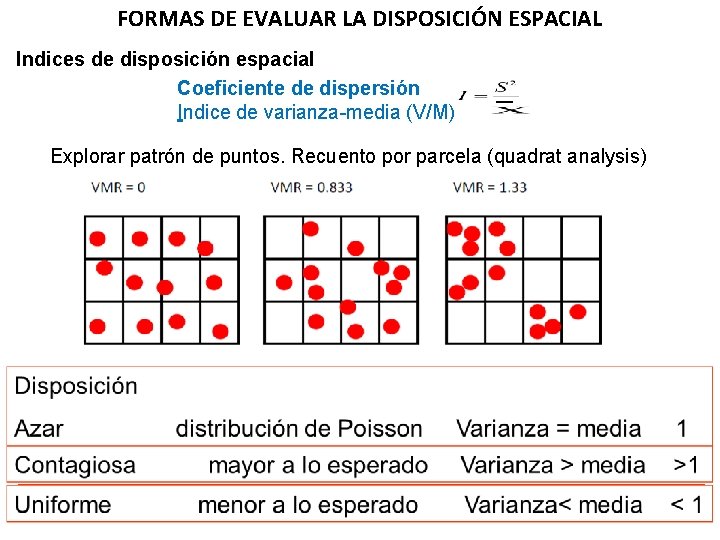 FORMAS DE EVALUAR LA DISPOSICIÓN ESPACIAL Indices de disposición espacial Coeficiente de dispersión Indice