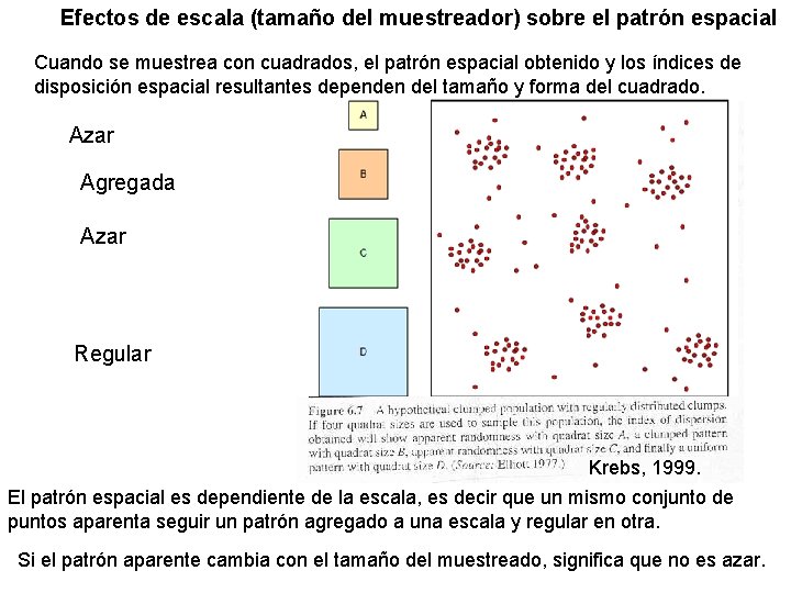 Efectos de escala (tamaño del muestreador) sobre el patrón espacial Cuando se muestrea con