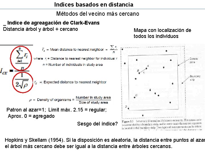 Indices basados en distancia Métodos del vecino más cercano _ Indice de agreagación de