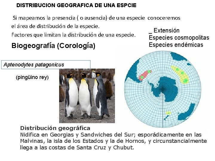 DISTRIBUCION GEOGRAFICA DE UNA ESPCIE Si mapeamos la presencia ( o ausencia) de una