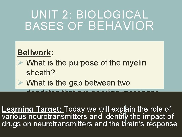 UNIT 2: BIOLOGICAL BASES OF BEHAVIOR Bellwork: Ø What is the purpose of the